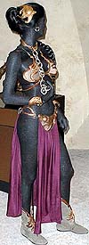 Princess Leia, Slave Girl, Costume